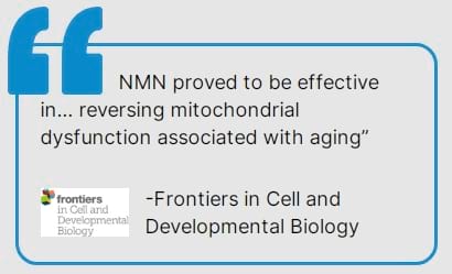 frontiers in cell and developmental biology nmn review